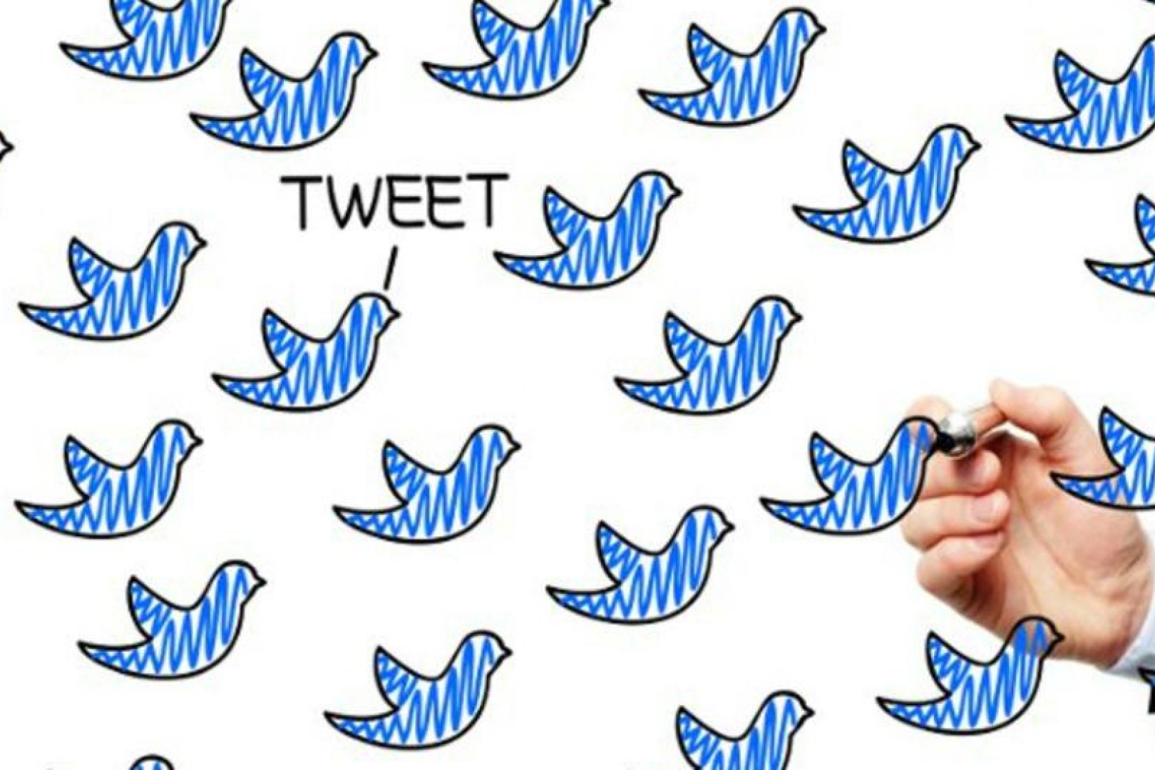 Slovenski Twitter uporabniki, ki vam sledijo nazaj 